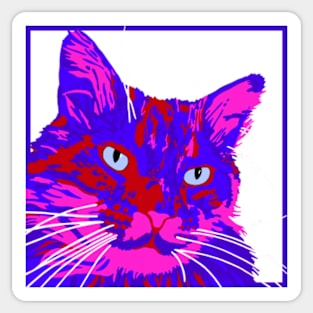 Colorful Cat Sticker